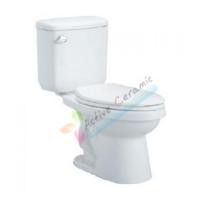 ราคา C13930 สุขภัณฑ์สองชิ้น รุ่น อเล็กซ์ Cotto (4737577)