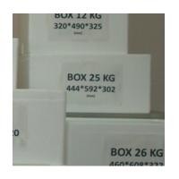 ราคา กล่องโฟม Box 25 kg. 442x592x302mm. (6953053)