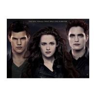 ราคา Twilight / แวมไพร์ ทไวไลท์ ภาค 1- ภาค 4.2 (movie) DVD พากย์ไทย+บรรยายไทย 5 แผ่นจบอวสาน*master (5856729)