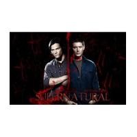 ราคา Supernatural season 1-6 ล่าปริศนาเหนือโลก ปี 1-ปี 6 v2d พากษ์ไทย 16 แผ่นจบภาค (4552326)