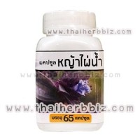 ราคา หญ้าไผ่น้ำแคปซูล บ้านหนองเรือ (1312)