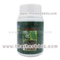 ราคา ยาแคปซูลรากสามสิบ หมอสิงห์ (392)