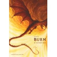 ราคา หนังสือ เผาผลาญ Burn (9786168175279)