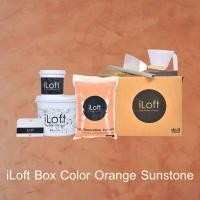 ราคา iLoft iLoft Boxset ปูนขัดมันตกแต่งผนัง - - 7 กก. สีส้ม (10001513)
