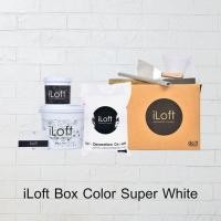 ราคา iLoft iLoft Boxset ปูนขัดมันตกแต่งผนัง - - สีขาว 7 กก. (10001518)