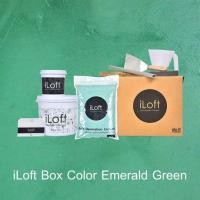 ราคา iLoft iLoft Boxset ปูนขัดมันตกแต่งผนัง - - 7 กก. สีเขียว (10001519)