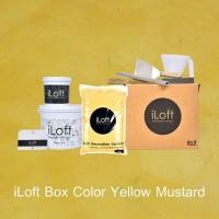 ราคา iLoft iLoft Boxset ปูนขัดมันตกแต่งผนัง - - สีเหลือง 7 กก. (10001514)