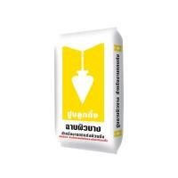 ราคา ส.สุขภัณฑ์ ปูนฉาบผิวบาง ตราลูกดิ่ง CP015/A ชนิดฉาบบางสีขาว 20กก. 20กก. (10038816)