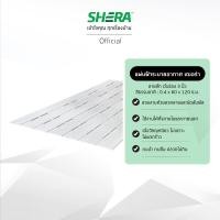 ราคา SHERA แผ่นฝ้าระบายอากาศ ลายสัก เว้นร่อง 3" สีธรรมชาติ 0.4x60x120ซม. สีธรรมชาติ 0.4x60x120ซม ลายสัก (10118821)