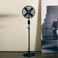ราคา Bungalow Fan พัดลมเหล็กตั้งพื้น ทรงวินเทจ ขนาด 12 นิ้ว MIAMI CLASSIC STAND FAN ( ดำด้าน / ดำเงา ) คลาสสิค นิกเกิล ดำด้าน (10191462)