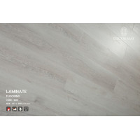 ราคา DECORMAT พื้นไม้ลามิเนต รุ่นธรรมดา 8 mm. 3801 (เฉพาะสินค้า) (10257734)