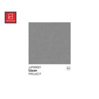 ราคา JAGUAR กระเบื้องปูพื้น ลายโปรเจค 40x40cm. (10229020)