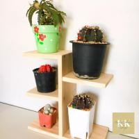 ราคา KK Garden ชั้นไม้เล็กวางของเอนกประสงค์ กว้าง25 * สูง26 * หนา10 ซม. ชั้นไม้+เคลือบน้ำยากันน้ำ (10372292)