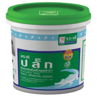 ราคา PCN ONLINE จระเข้ ปลั๊ก ซีเมนต์แห้งเร็ว อุดน้ำรั่ว Crocodile Plug เทา 1กก. ซีเมนต์แห้งเร็ว (10384843)