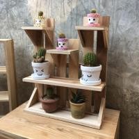 ราคา Kingkanbaimaisak ชั้นวางแคคตัส ไม้สัก ก10 ย39 สูง47 ซม. (10415766)