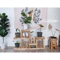 ราคา Kingkanbaimaisak ชั้นวางต้นไม้ ชั้นวางคอนโด ก80 ย16 ส50 ซม (10415765)