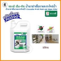 ราคา Ktoolmart จระเข้ เอ็ม-คิล นํ้ายากำจัดเชื้อราและตะไคร่นํ้า นํ้ายาขจัด ฆ่า และป้องกันความชื้น M-KILL Mold and Algae Killer 5L สีขาว 5L (10458196)