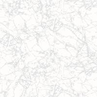 ราคา ไดนาสตี้ กระเบื้องเซรามิค ลายพาราไดซ์ (หน้ามัน) เทา หน้ามัน 60 X 60 (10477302)