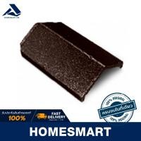 ราคา Homesmart ครอบสันตะเข้ หลังอดามัส สีมาตรฐาน สีน้ำตาลอิตัลไท สีมาตรฐาน (10483679)