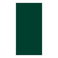 ราคา กระเบื้อง ผนัง SUPER 30x60cm MANDARIN GREEN MATT 30x60,60x30 cm. กระเบื้องผนัง เขียว - (10492961)