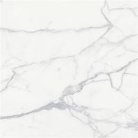 ราคา GRANDHOMEMART กระเบื้อง พื้น RMT 60x60cm STATUARY WHITE POL M60P05B 60x60 cm. กระเบื้องพื้น ขาว - (10492866)