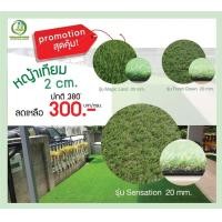 ราคา MDG Home Garden หญ้าเทียม 2 CM รุ่น Fresh Green 1 ตารางเมตร สีเขียว (10496986)