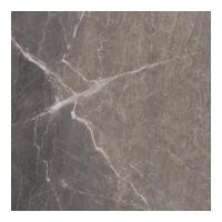 ราคา GRANDHOMEMART กระเบื้อง พื้น SUPER 60x60cm GEMS POLISHED GHPY60099Q 60x60 cm. กระเบื้องพื้น เทา - (10493075)