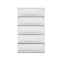 ราคา ตู้ลิ้นชัก 5 ชั้น SUMO-WOODTOP สีเทา-ขาว |EA| แบบ 5 ชั้น (10519398)