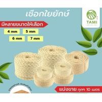 ราคา TAMIGRASS เชือกใยยักษ์ 6 mm. เชือกใยยักษ์ (10520433)