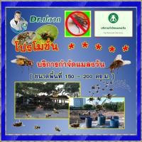 ราคา Dr.ปลวก [บริการกำจัดแมลงวัน] ร้านอาหาร (ขนาดพื้นที่ 150 - 200 ตร.ม.) ปลอดภัย (10594024)