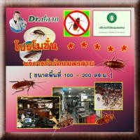 ราคา Dr.ปลวก [บริการกำจัดแมลงสาบ] ร้านอาหาร (ขนาดพื้นที่ 100 - 200 ตร.ม.) ปลอดภัย (10593905)