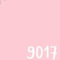 ราคา TOA สีภายนอกภายใน สีชมพู 1L สีทาบ้าน สีน้ำ สีอะครีลิค เนื้อสีแน่น สีคุณภาพ 9017,4 Seasons ด้าน size (10662505)