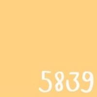 ราคา TOA สีภายนอกภายใน สีเหลืองอมส้ม 1L สีทาบ้าน สีน้ำ สีอะครีลิค เนื้อสีแน่น 5839,4 Seasons ด้าน size (10663035)