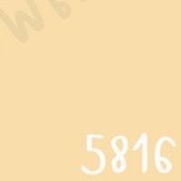 ราคา TOA สีภายนอกภายใน สีเหลืองอมส้ม 1L สีทาบ้าน สีน้ำ สีอะครีลิค เนื้อสีแน่น 5816,4 Seasons ด้าน size (10663061)