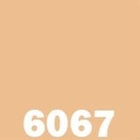 ราคา CAPTAIN พาราชิลด์ เฟรชชี่คลีน สีส้ม สีทาภายนอก สีทาภายใน ขนาด 1 ลิตร สามารถผสมตามรหัสสีของกัปตันได้ทุกเบอร์ ร้านสีบ้านสบาย 6067,พาราชิลด์ ภายนอก size (10660258)