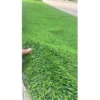 ราคา Love life หญ้าเทียม หน้ากว้าง1เมตร ยาว5เมตร 1x10m Love life สี (10728633)