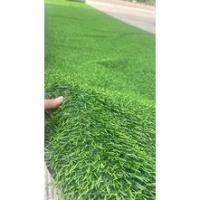 ราคา Love life หญ้าเทียม หน้ากว้าง1เมตร ยาว5เมตร 1x3.5 Love life สี (10728634)