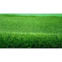 ราคา Love life หญ้าเทียม หน้ากว้าง1เมตร ยาว5เมตร สี 1x5.5 Love life (10728635)