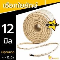 ราคา CP KASET เชือกใยยักษ์ ขนาด 12มม. ยาว200เมตร (ยกม้วน) ใยยักษ์12 มม. ยกม้วน (10781565)