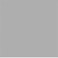 ราคา กระเบื้อง พื้น SUPER 40x40cm CLASSIC DARK GREY MATT 40x40 cm. กระเบื้องพื้น สีเทา - (10798952)