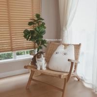 ราคา Warmwood.Craft เก้าอี้ บุหวาย รุ่น Beach สีไม้สัก (10784147)