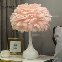 ราคา chshop99 โคมไฟตั้งโต๊ะ โคมไฟขนห่าน ปรับหรี่แสงได้ ชมพู (10784038)