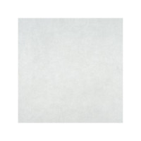 ราคา GRANDHOMEMART กระเบื้องพื้น COTTO 16x16 วีลล์(II) เทาอ่อน A 16x16 inch./40x40 cm. แบบปูกาว สีเทา - (10819216)