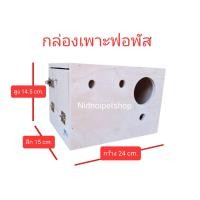 ราคา (กล่องฟอพัส+นกระจอกชวา) กล่องเพาะนก รังเพาะนก กล่องนอน บ้านนกขนาดเล็กและกลาง รังเพาะหงษ์หยก รังเพาะเลิฟเบิร์ด รังเพาะค็อกคาเทล รังเพาะฟอพัส รังเพาะฟิ (10863417)