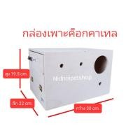 ราคา ( กล่องค็อกคาเทล ) กล่องเพาะนก รังเพาะนก กล่องนอน บ้านนกขนาดเล็กและกลาง รังเพาะหงษ์หยก รังเพาะเลิฟเบิร์ด รังเพาะค็อกคาเทล รังเพาะฟอพัส รังเพาะฟินซ์ ร (10863423)