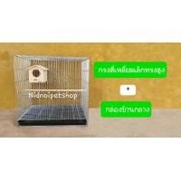 ราคา Nidnoipetshop กรงสี่เหลี่ยมเล็กทรงสูงพับ(กรงประกอบแล้ว)กรงนก กรงชูก้า กรงกระรอก หนูแฮมเตอร์ กันงู กันหนูด้วยนะ กรงสี่เหลี่ยมเล็กทรงสูง+กล่องบ้านกลาง (10862798)