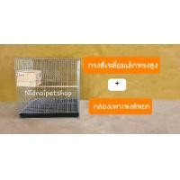 ราคา Nidnoipetshop กรงสี่เหลี่ยมเล็กทรงสูงพับ(กรงประกอบแล้ว)กรงนก กรงชูก้า กรงกระรอก หนูแฮมเตอร์ กันงู กันหนูด้วยนะ กรงสี่เหลี่ยมเล็กทรงสูง+รังเพาะหงส์หยก (10862799)