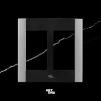 ราคา ART DNA THAILAND ART DNA กรอบ 4 ช่อง ขนาด 4x4 รุ่น A Type สีซิลเวอร์ Double Frame 4 Gang (10900428)