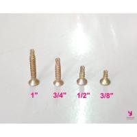 ราคา YOJI ONLINE เกลียวปล่อยปลายสว่าน หัวแบน เกลียวปล่อย สกรูปลายสว่าน สกรูยิงเหล็ก เกลียวปล่อยยิงเหล็ก (ห่อเล็ก) #8,1/2" (10958880)