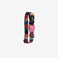 ราคา ZEE DOG ปลอกคอสุนัขแฟชั่นขนาดเล็ก รุ่น CHROMA COLLAR SMALL (10959935)